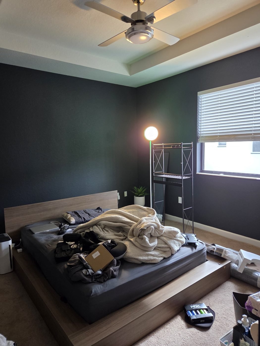 Belen Painting — Stairwell & Accent Wall — Real Project