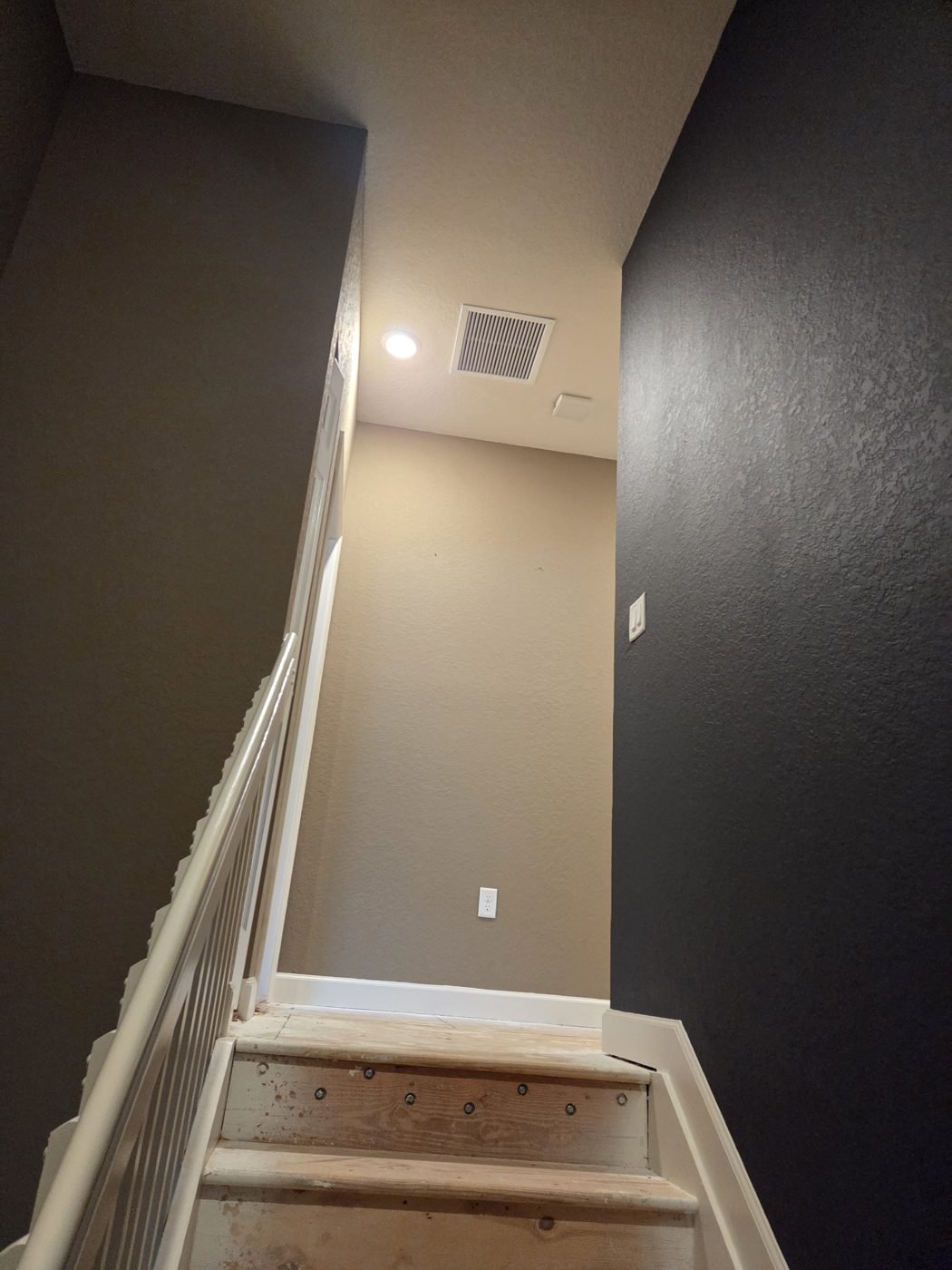 Belen Painting — Dark Accent Walls — Real Project